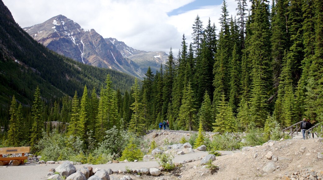 Mount Edith Cavell which includes landscape views and mountains