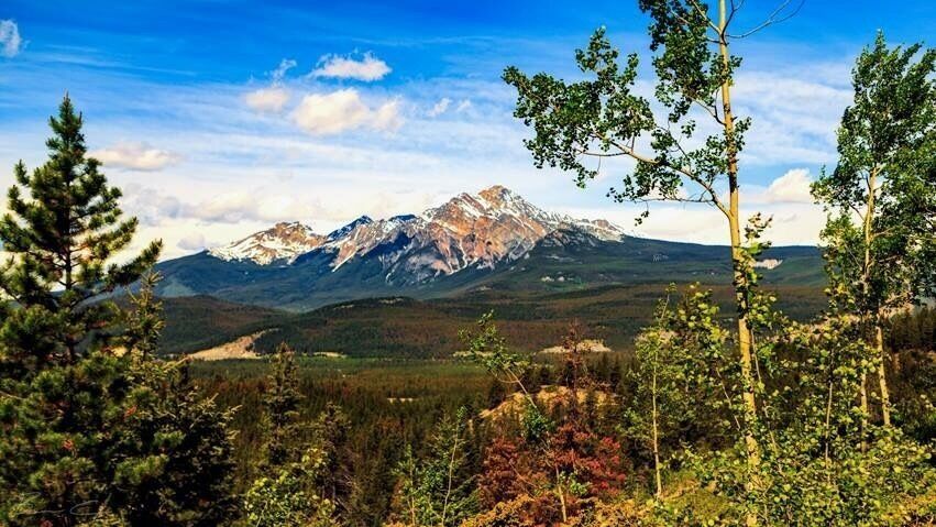 Taken from Maligne Lookout near Jasper, AB #BVStrove