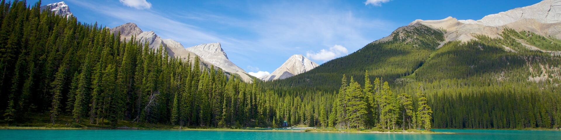 Maligne Lake featuring mountains, forests and landscape views
