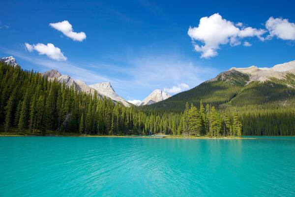 Maligne Lake featuring mountains, forests and landscape views