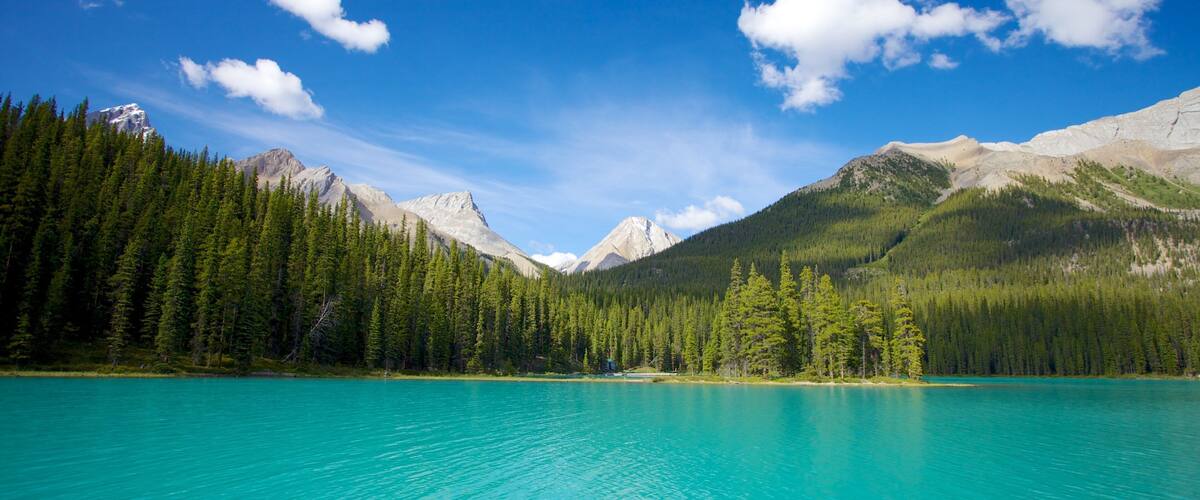A turquoise lake surrounded by dense forests and snow-capped mountains under a clear blue sky.
