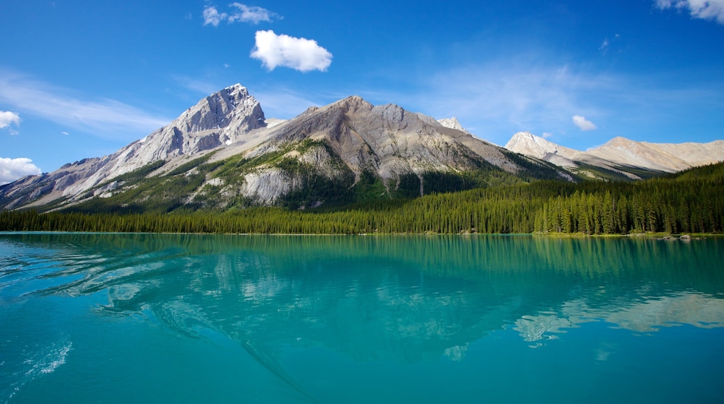 Maligne Lake featuring mountains and landscape views