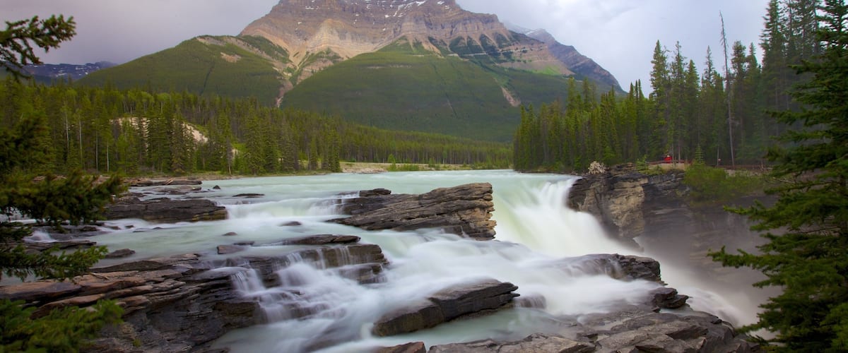 Athabasca Falls mostrando vistas de paisajes, montañas y una catarata