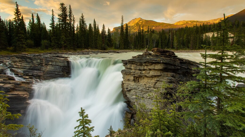 Athabasca Falls featuring a river or creek, rapids and a sunset