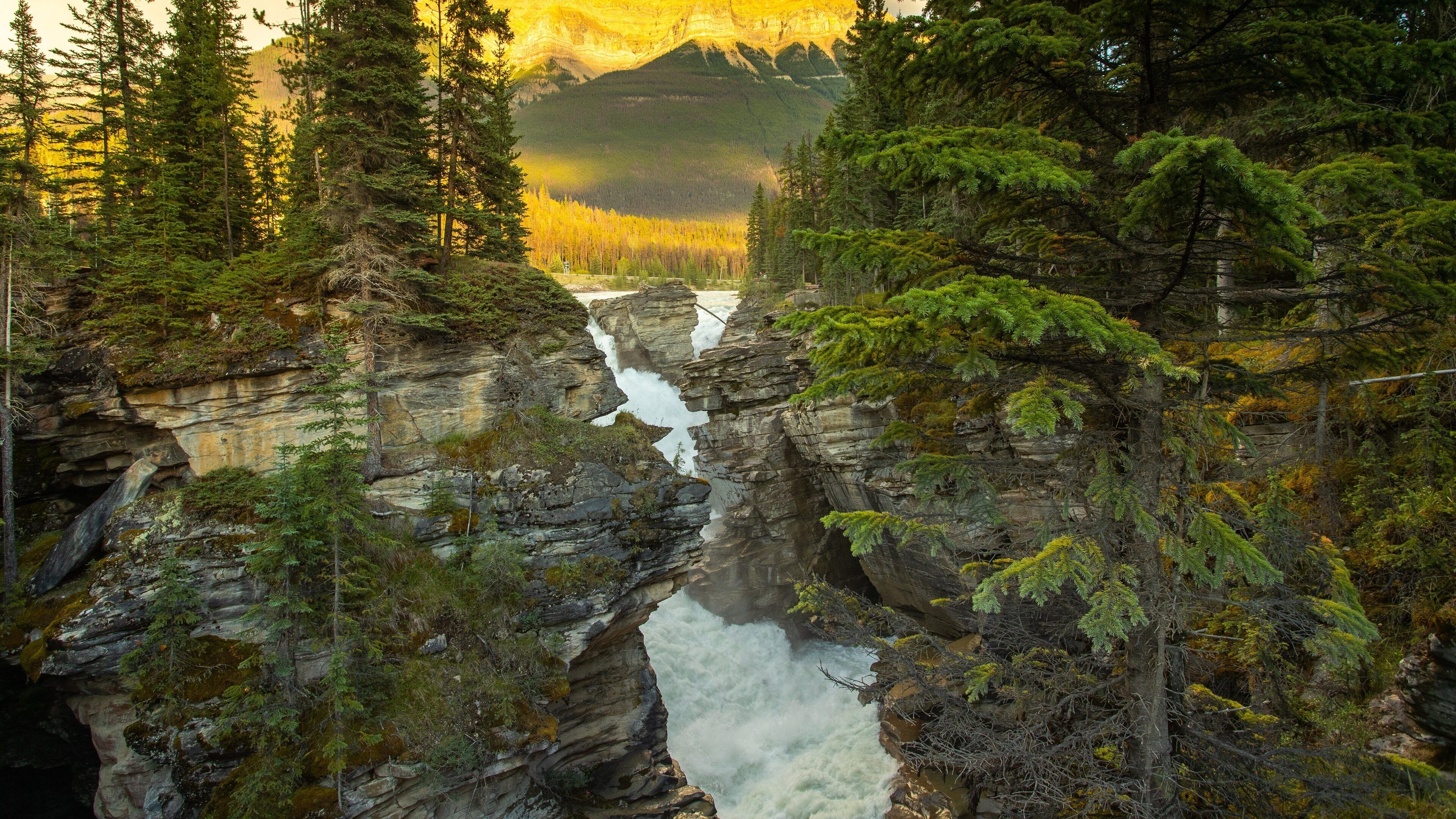 Athabasca Falls which includes rapids, a gorge or canyon and a river or creek