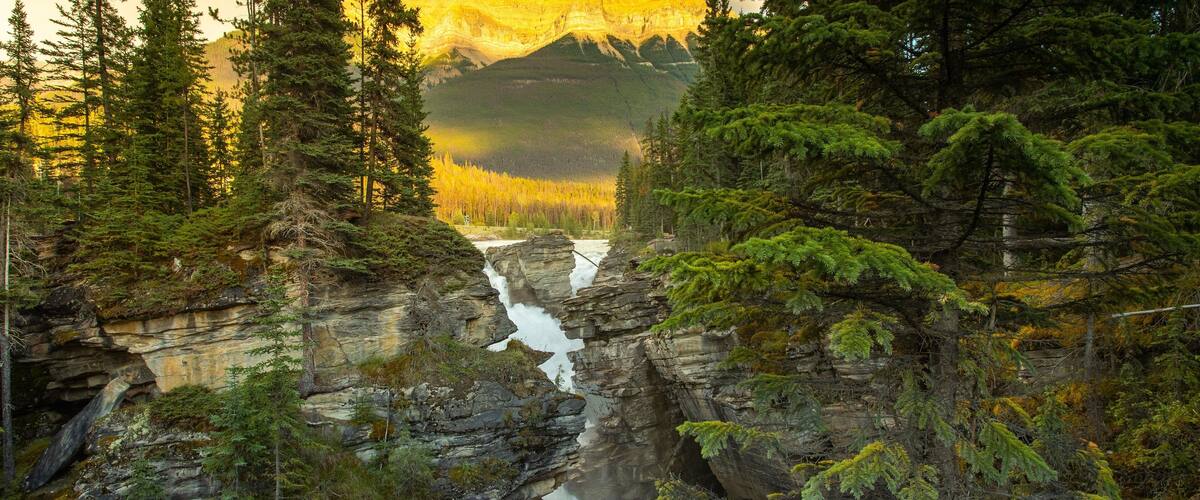 Athabasca Falls which includes rapids, a gorge or canyon and a river or creek
