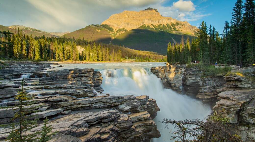 Athabasca Falls showing a river or creek, rapids and a sunset