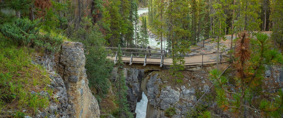 Sunwapta Falls showing a river or creek, forests and a gorge or canyon
