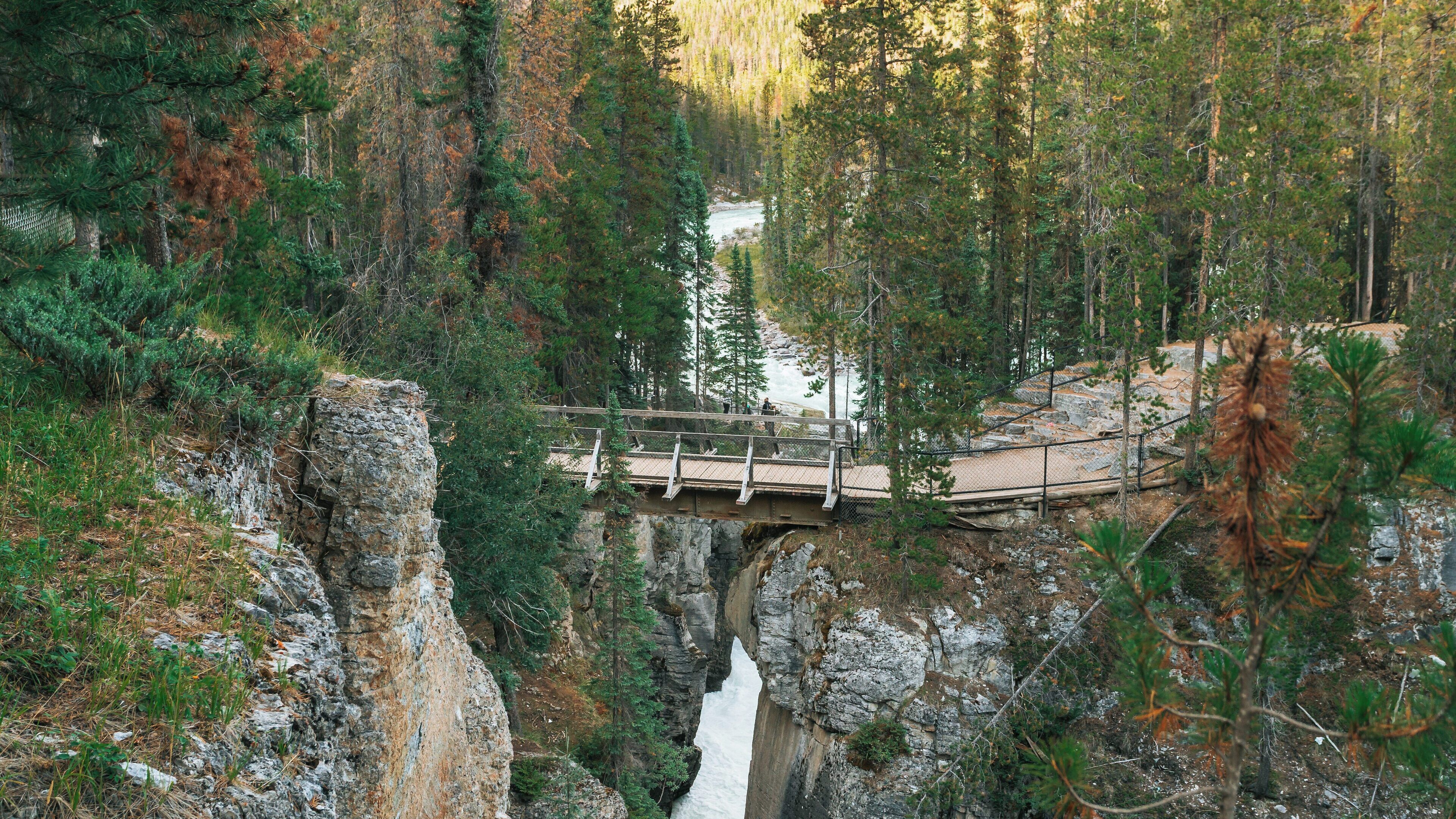 Exploring Sunwapta Falls in Jasper National Park surrounded by lush forests and rushing water in Alberta, Canada