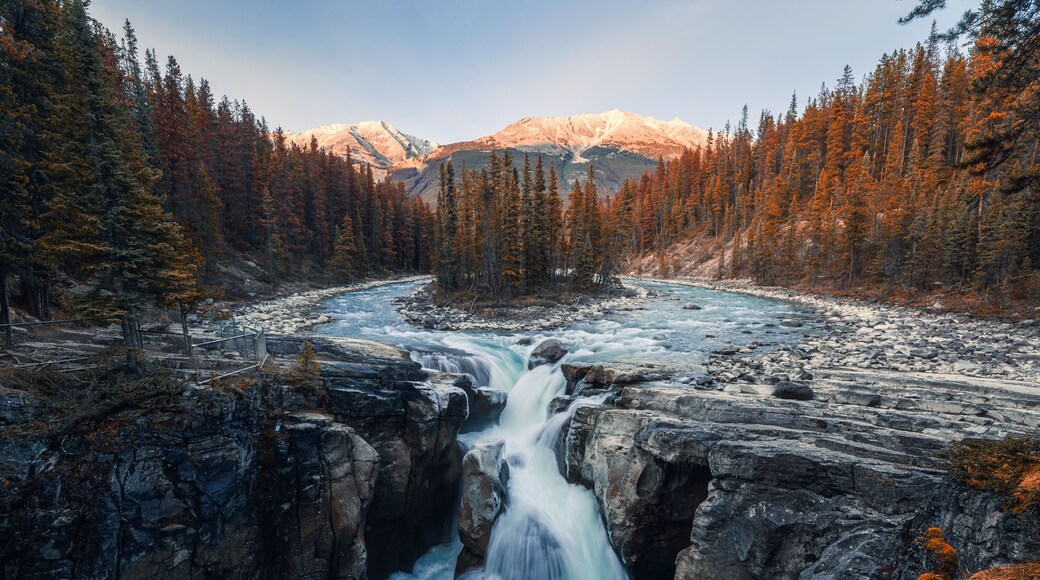 Sunwapta Falls is pair of the Sunwapta river in autumn forest at sunset. Icefields Parkway, Jasper national park