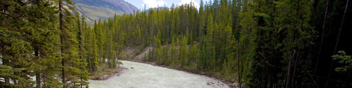 Sunwapta Falls welches beinhaltet Garten, Kaskade und Landschaften