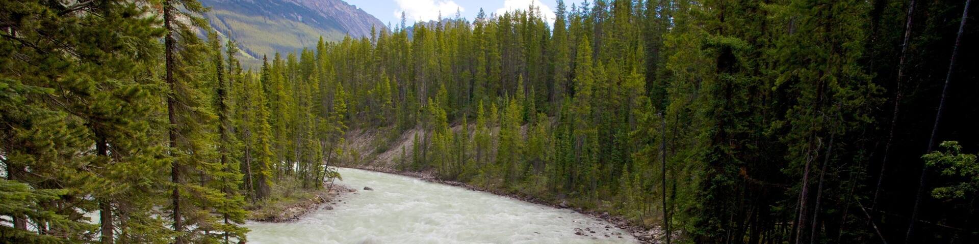 Sunwapta Falls featuring a garden, a waterfall and landscape views