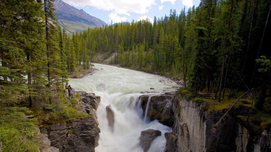 Watervallen Sunwapta bevat een cascade, een park en landschappen