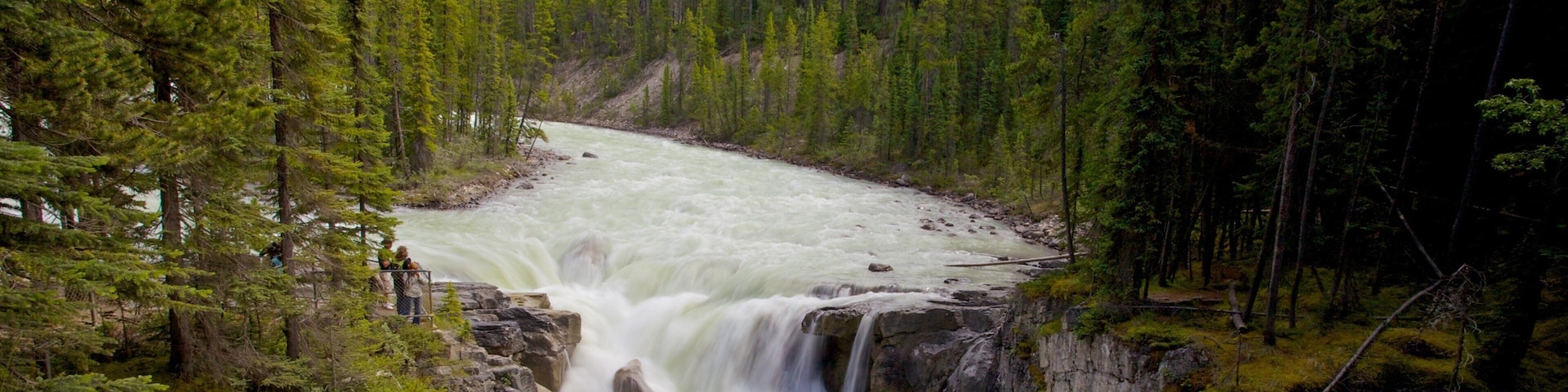 Sunwapta Falls featuring a garden, a waterfall and landscape views