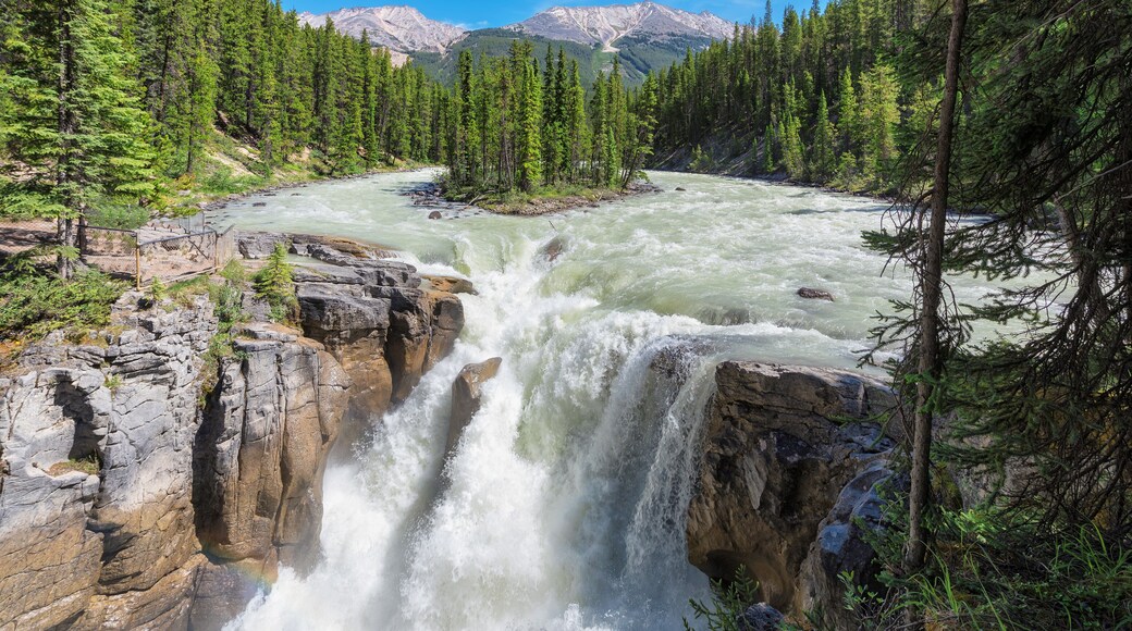 Canadian Rockies. Beautiful view to Sunwapta falls in Jasper National Park, Alberta, Canada.