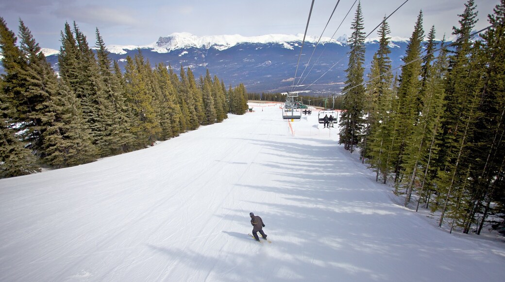 Marmot Basin which includes snow skiing, a gondola and snow