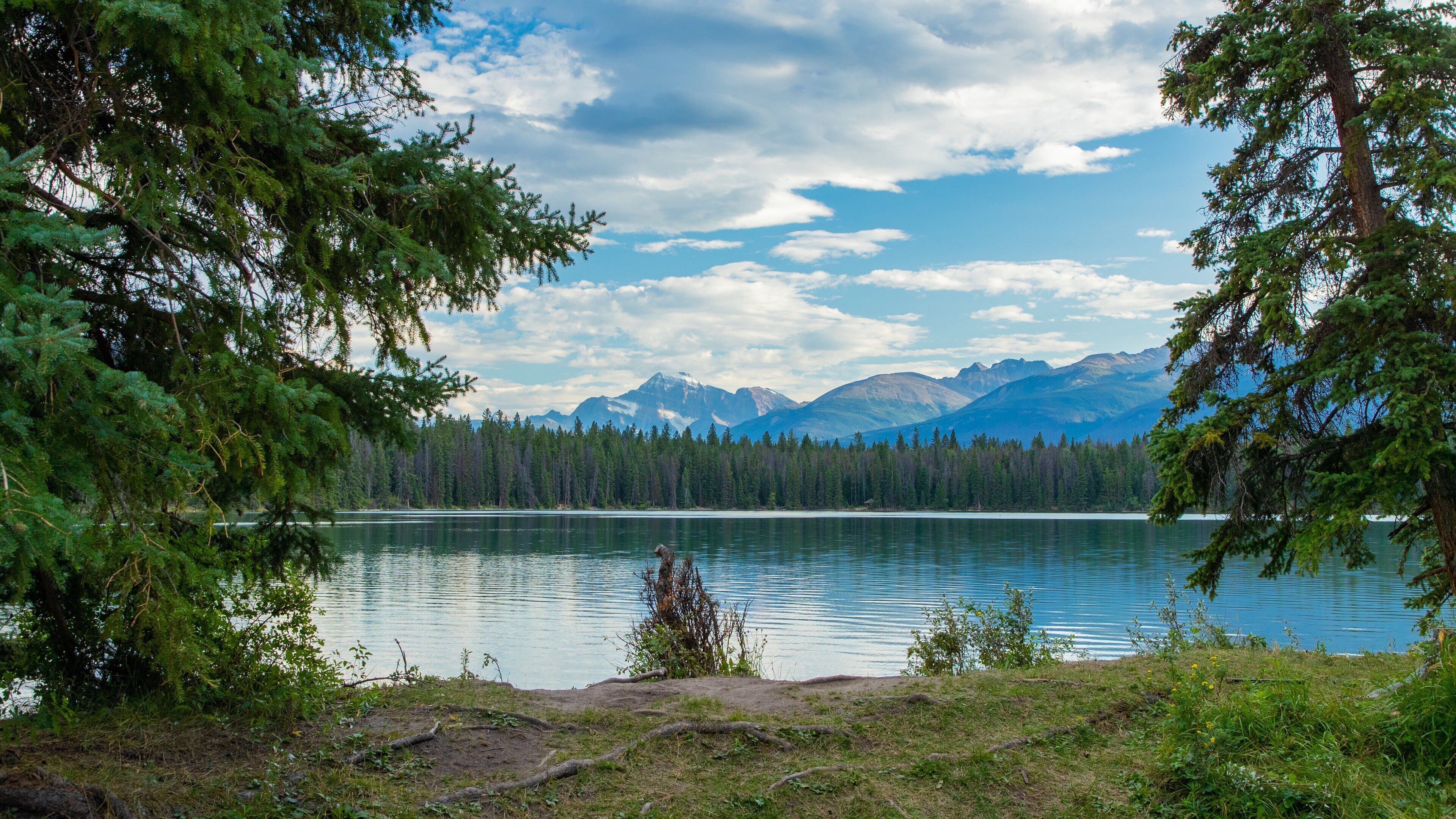 Lake Annette showing a lake or waterhole