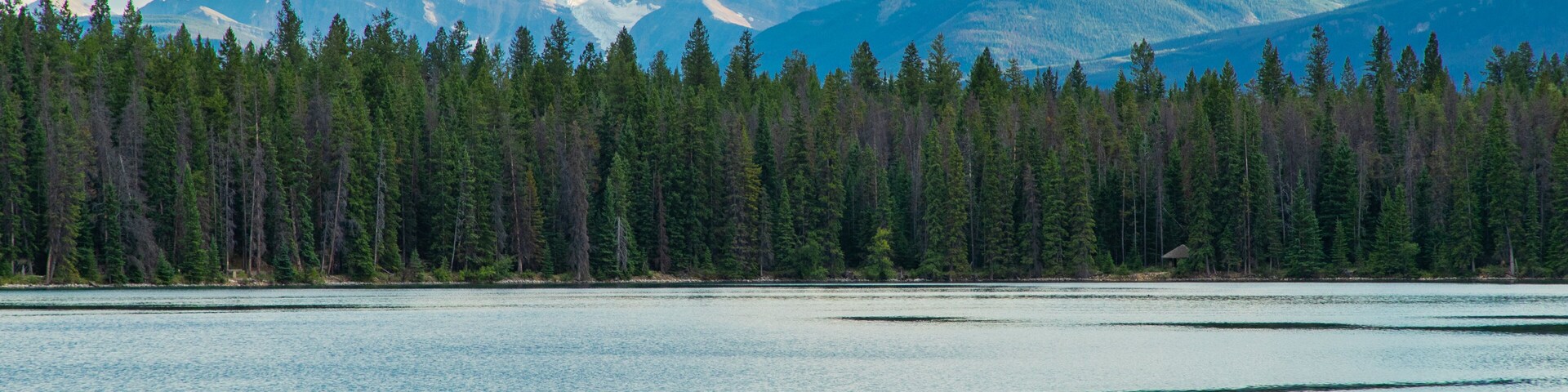 Lake Annette showing forest scenes, a lake or waterhole and mountains