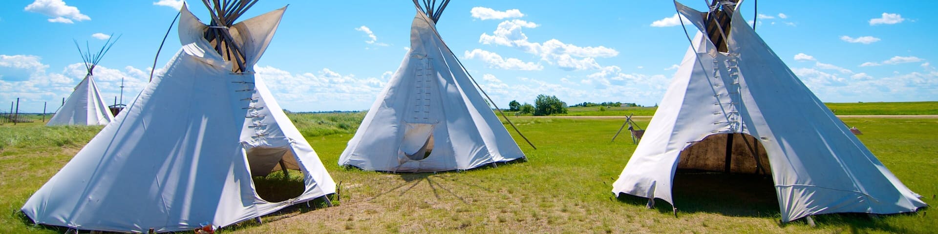 Three white teepees with pointed tops in a grassy field under a clear blue sky.