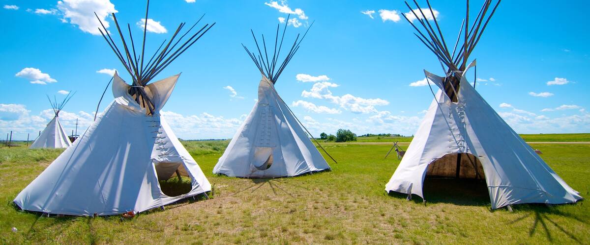 Three white teepees with pointed tops in a grassy field under a clear blue sky.