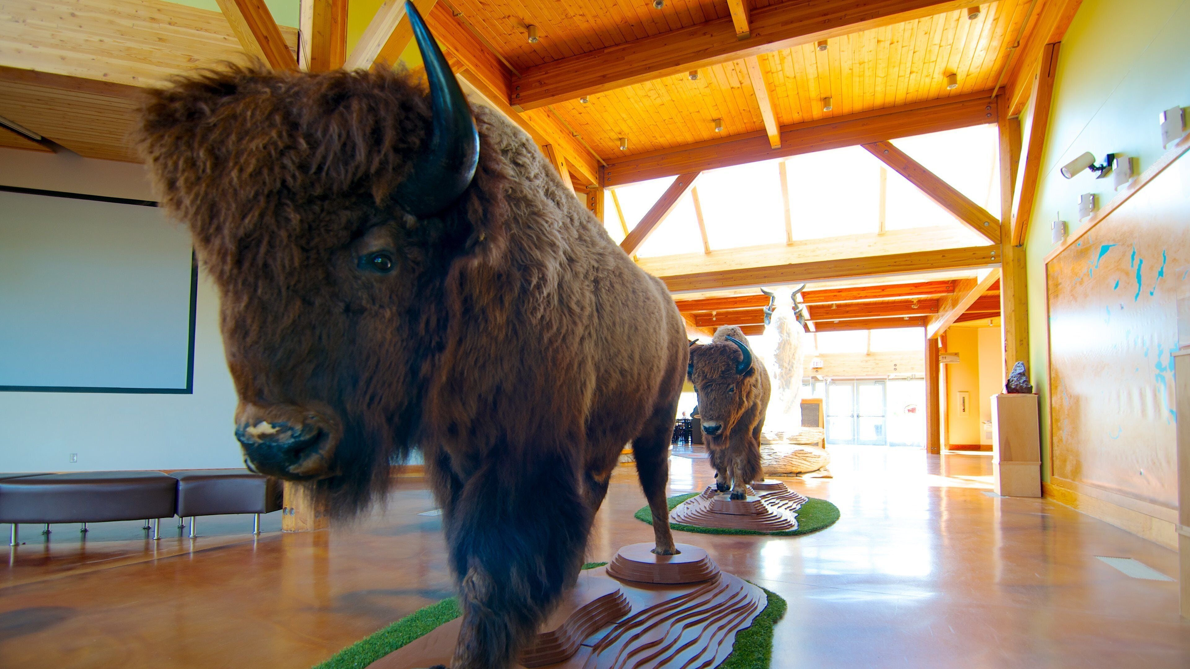 Wanuskewin Heritage Park showing interior views