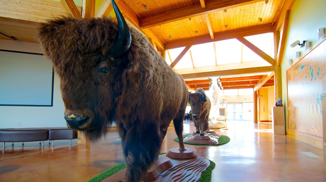 Wanuskewin Heritage Park showing interior views