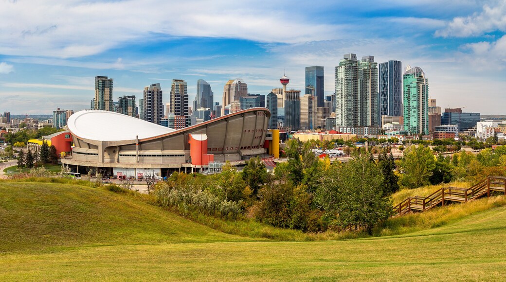 Arène Scotiabank Arena