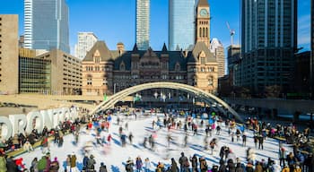 Nathan Phillips Square which includes a city and snow skiing as well as a large group of people