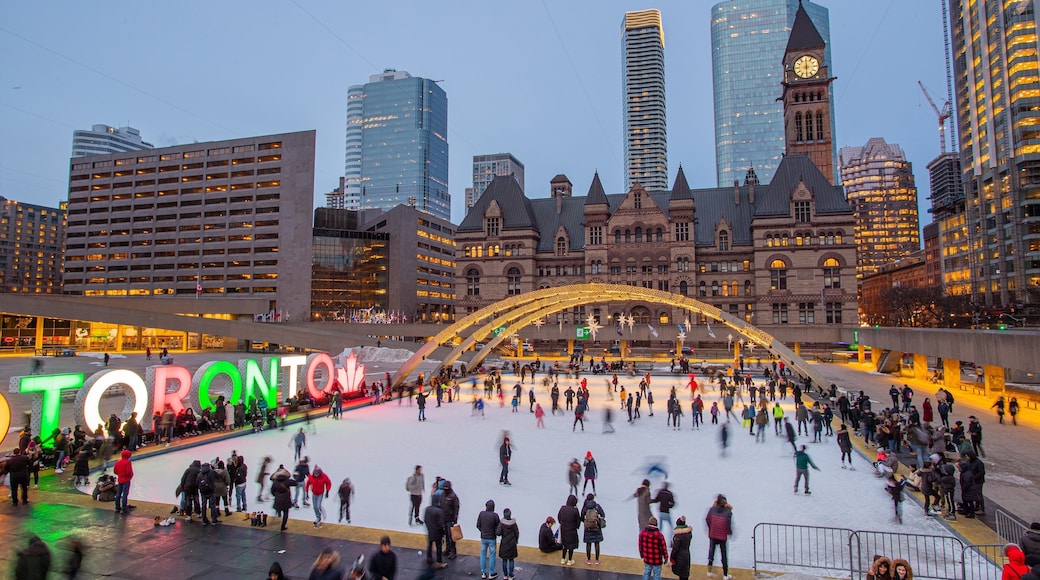 Nathan Phillips Square featuring night scenes, signage and snow skiing