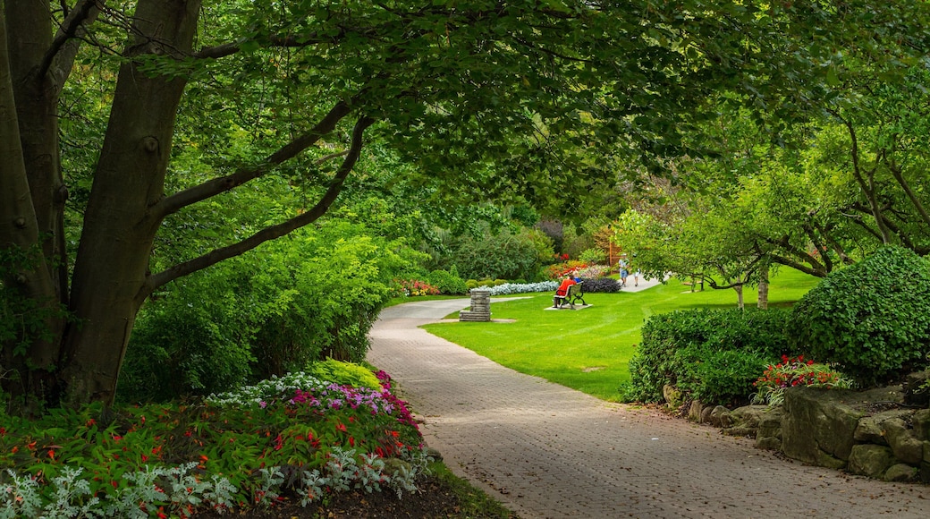Edward Gardens featuring a park and wildflowers