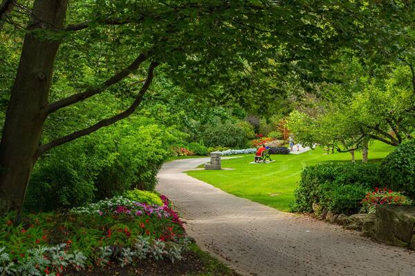 Un chemin de jardin pavé, bordé d’une végétation luxuriante et de plantes en fleurs.