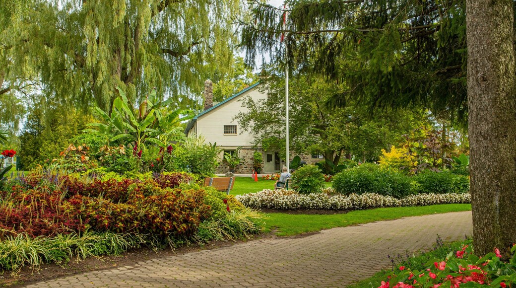 Edward Gardens showing a park and wildflowers