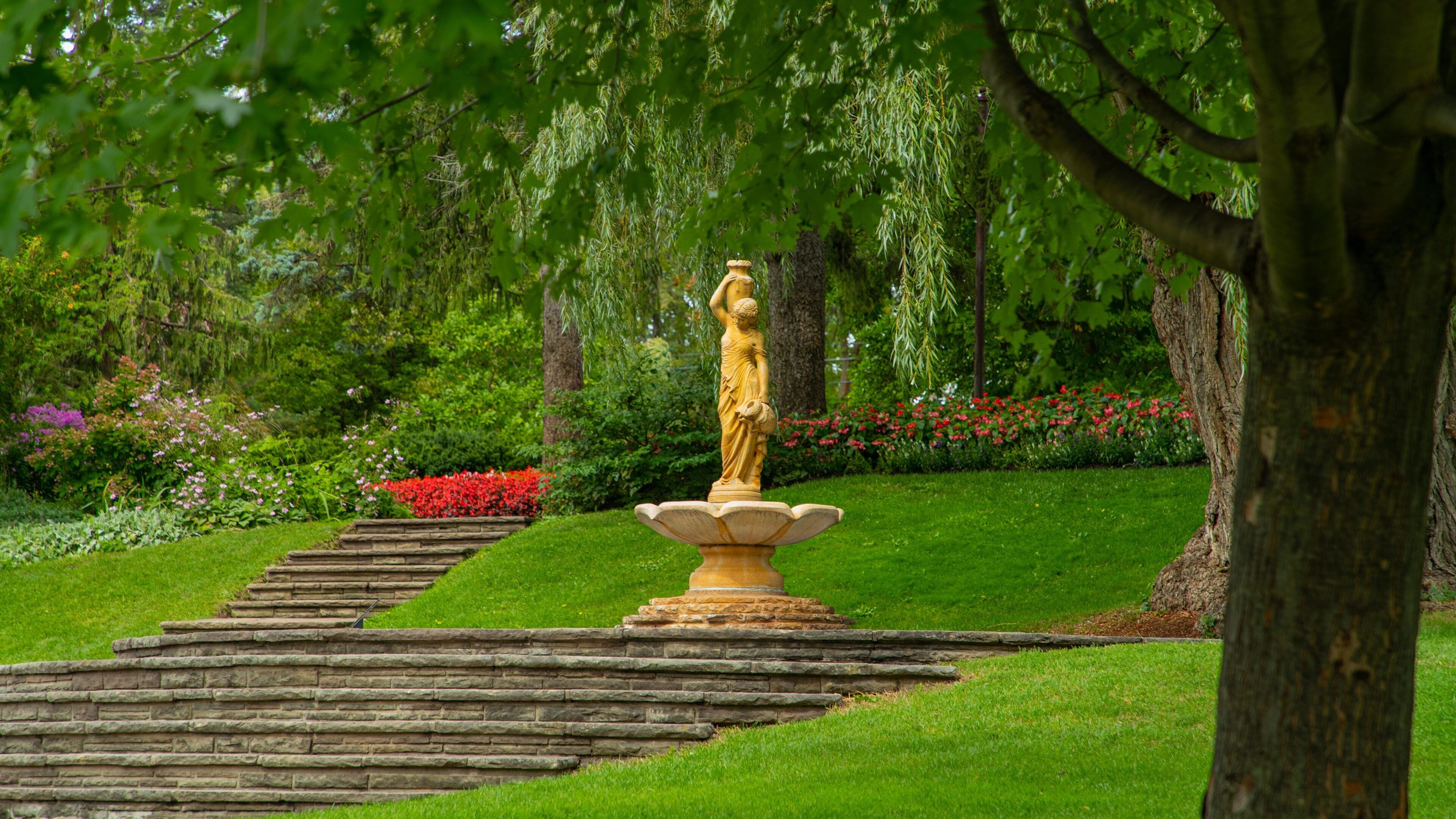 Edward Gardens showing a fountain and a garden