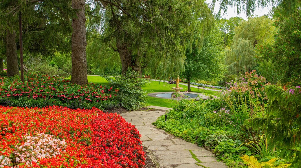 Edward Gardens which includes a garden, flowers and wildflowers