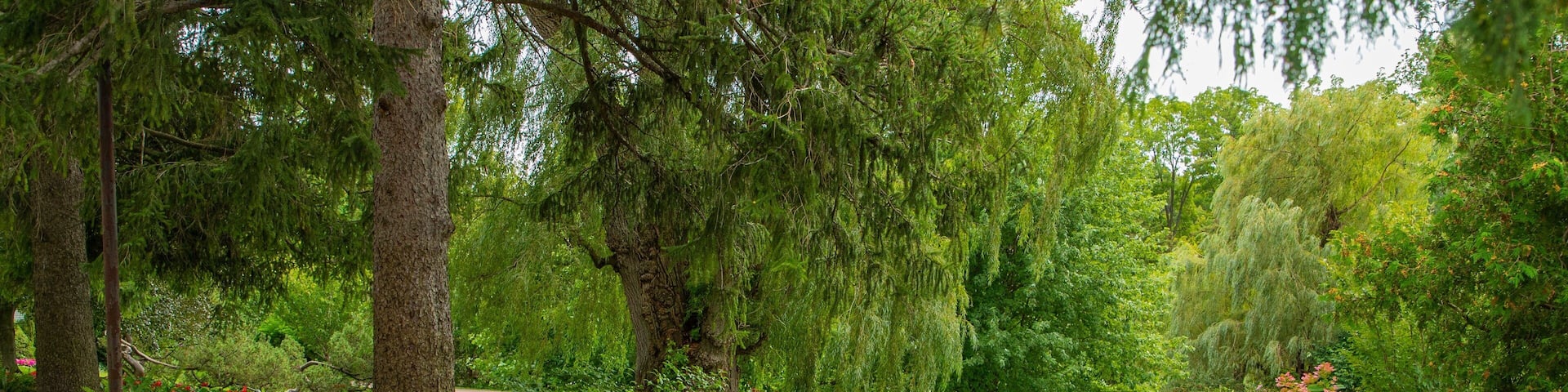 Edward Gardens which includes a garden, flowers and wildflowers