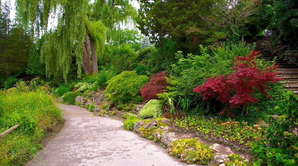 Edward Gardens featuring a park