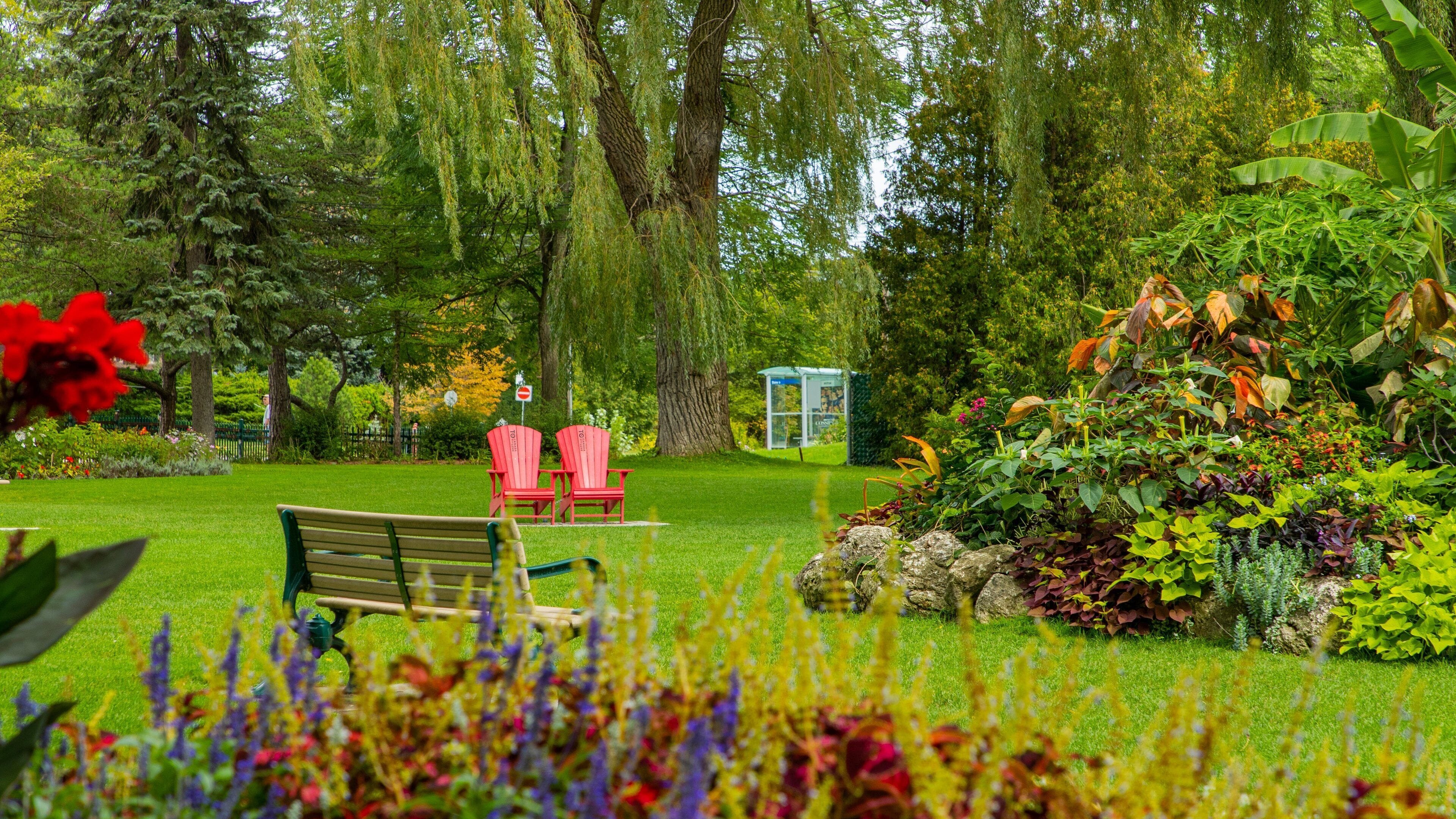 Edward Gardens which includes a park