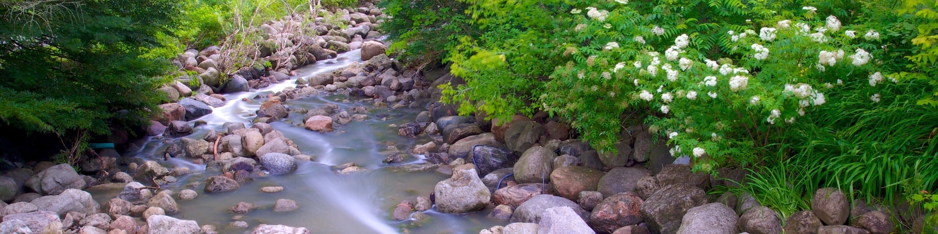 Edward Gardens which includes a river or creek, forest scenes and a garden