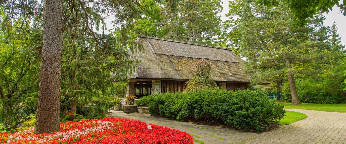 Edward Gardens featuring a garden and wildflowers