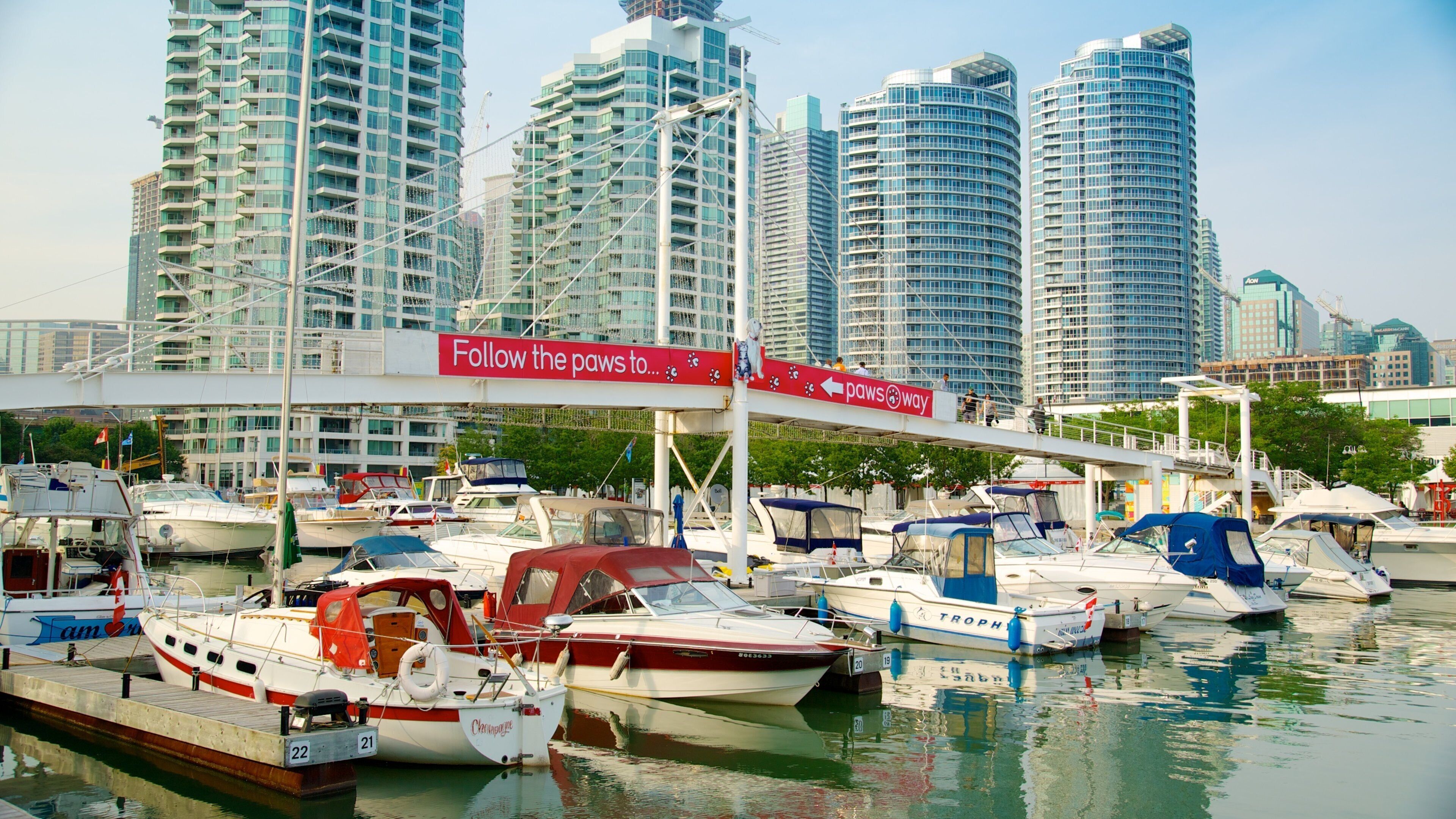 Harbourfront Centre featuring a city, a marina and boating