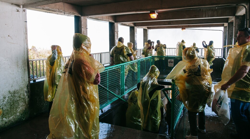 Horseshoe Falls which includes interior views as well as a small group of people