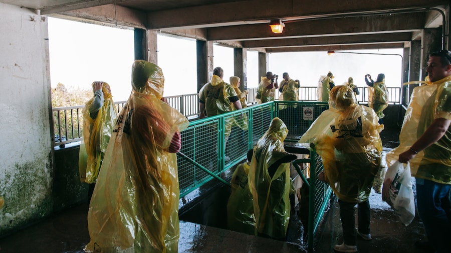Horseshoe Falls which includes interior views as well as a small group of people