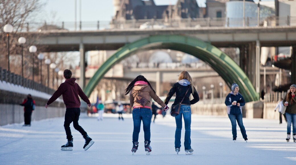 Rideau Canal which includes a bridge and ice skating as well as a small group of people