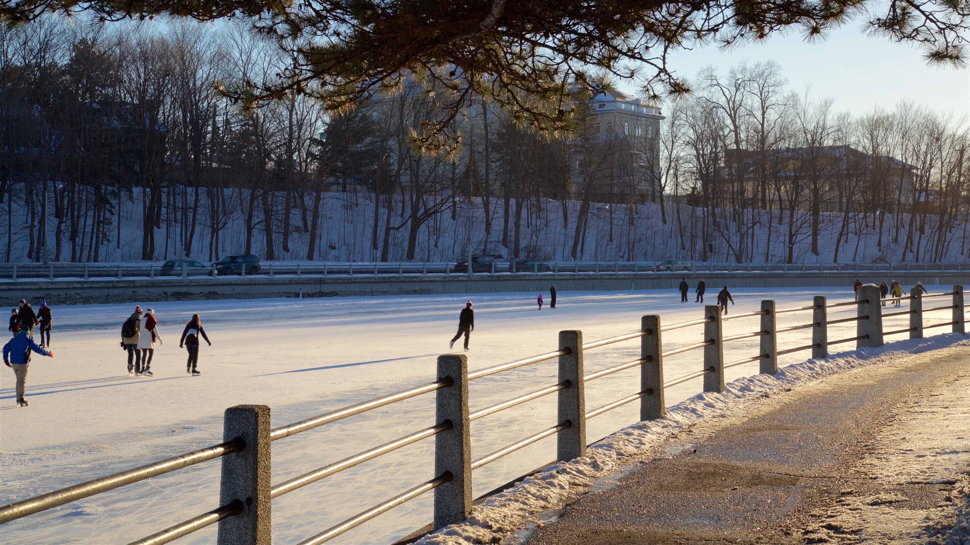 Rideau Canal featuring snow and snow skiing