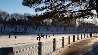 Rideau Canal mostrando sci e neve cosi come un grande gruppo di persone