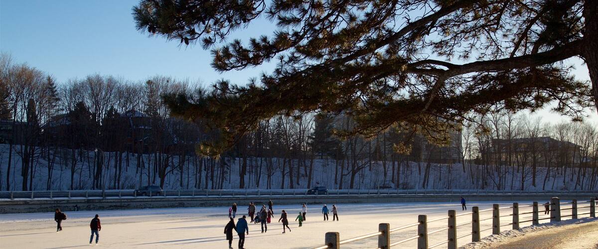 A frozen lake with people ice skating, surrounded by trees and a fence.