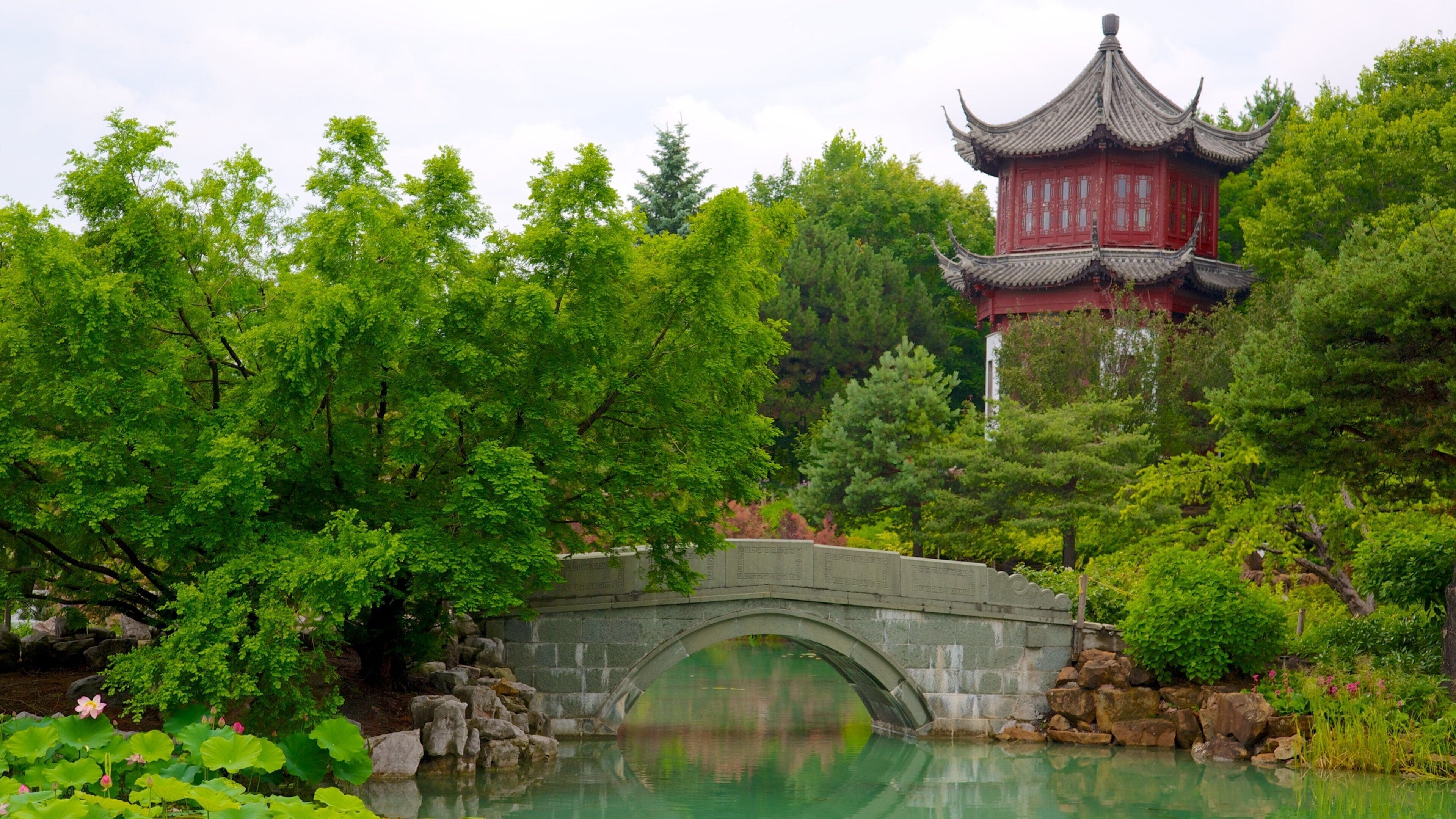 Jardin botanique de Montréal montrant jardin, rivière ou ruisseau et mare