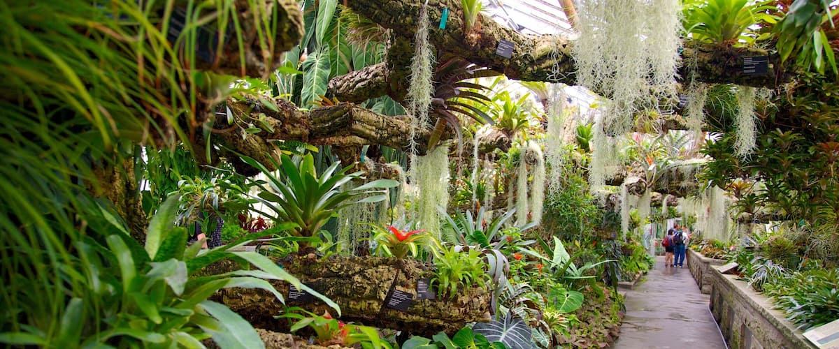 Montrealin kasvitieteellinen puutarha johon kuuluu sisäkuvat ja puisto