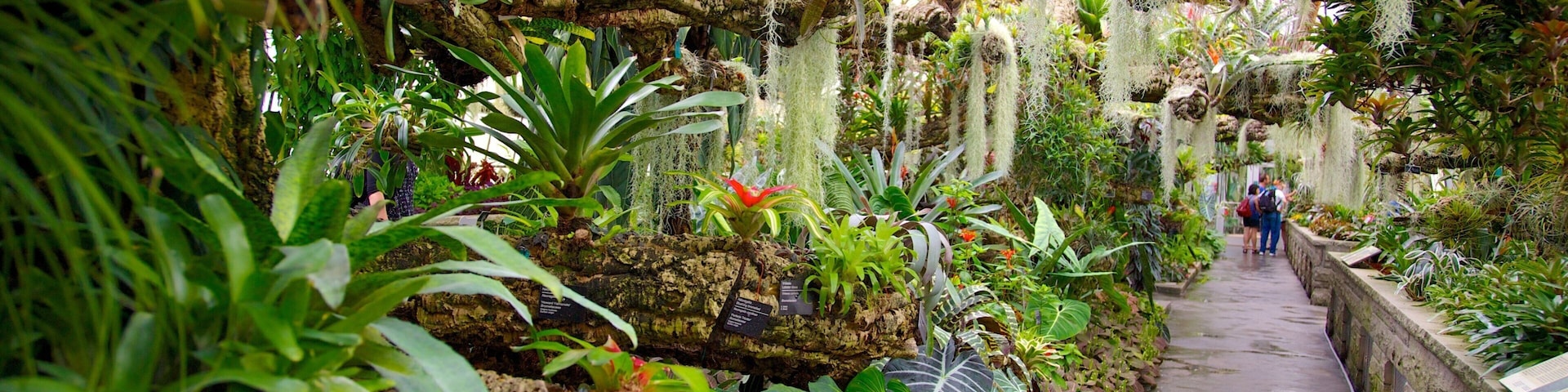Montreal Botanical Garden showing interior views and a garden
