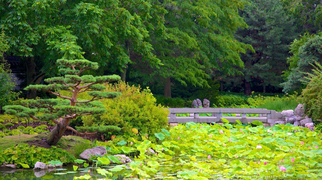 Montreal Botanical Garden